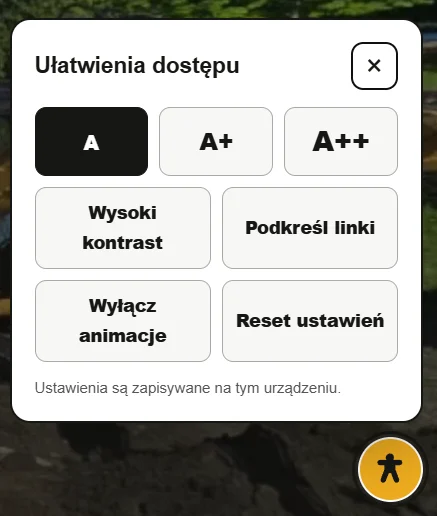 Panel ułatwień dostępu na stronie internetowej DM Multiservice
